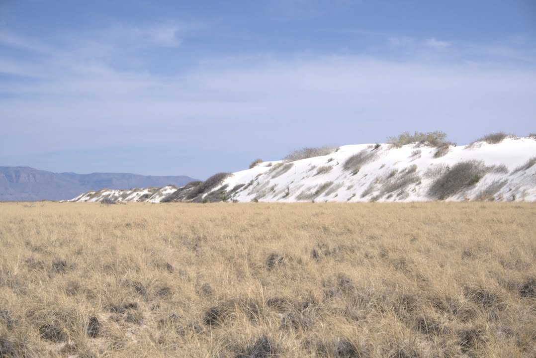 Dune Life Nature Trail