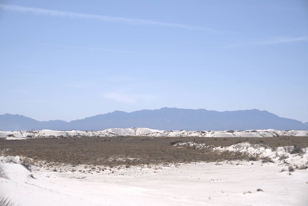Dune Life Nature Trail