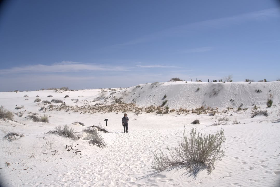 Dune Life Nature Trail