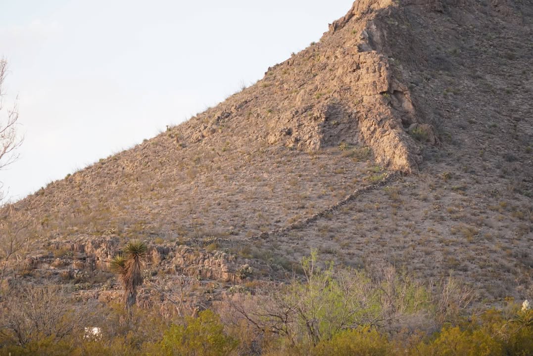 Frenchy's Fence along mountain