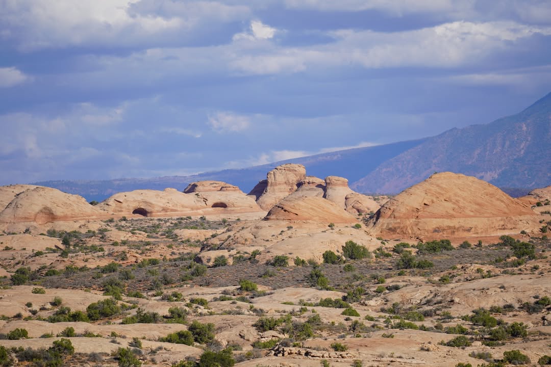 Petrified Dunes Viewpoint