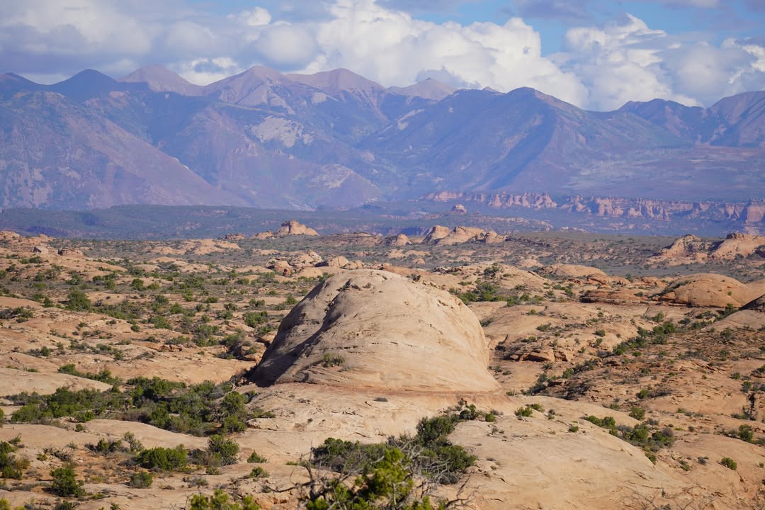 Petrified Dunes Viewpoint