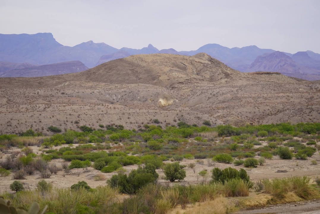 Dorgan Sublett Trail