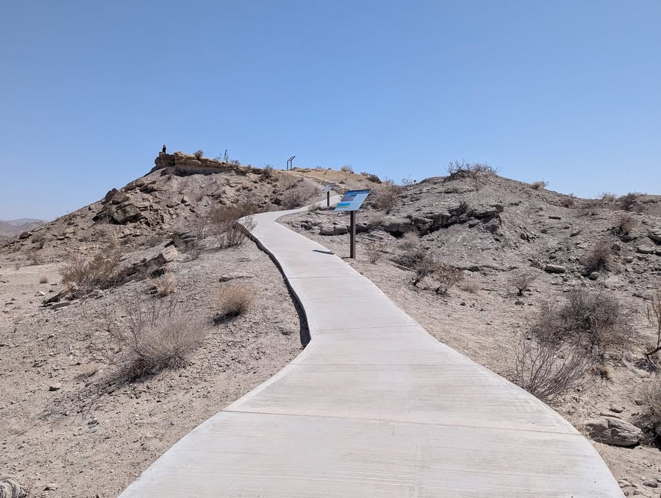 Fossil Discovery Exhibit old dig site