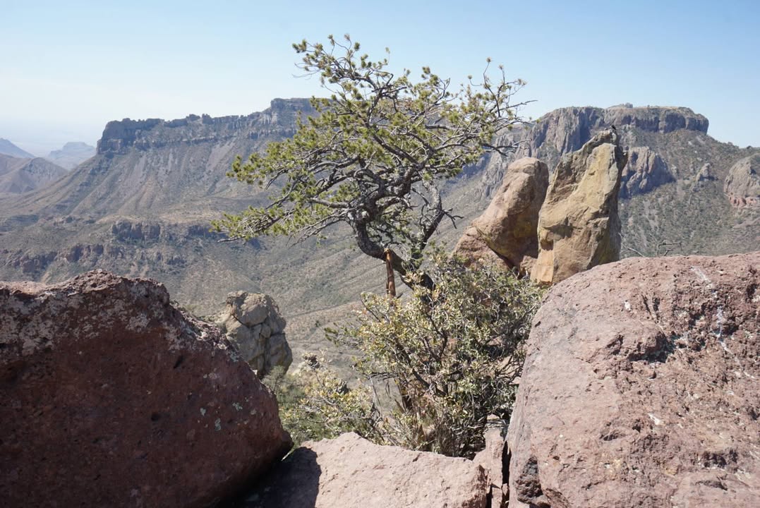 Lookout to Chiso Basin