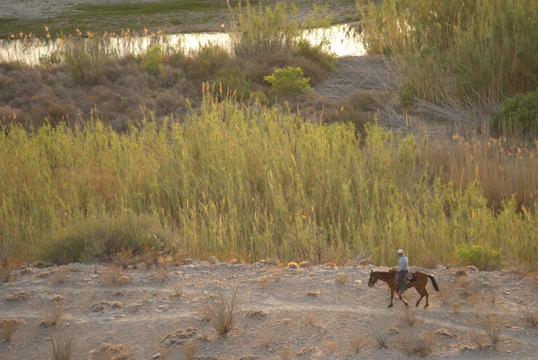 Riding Horseback by Rio Grande