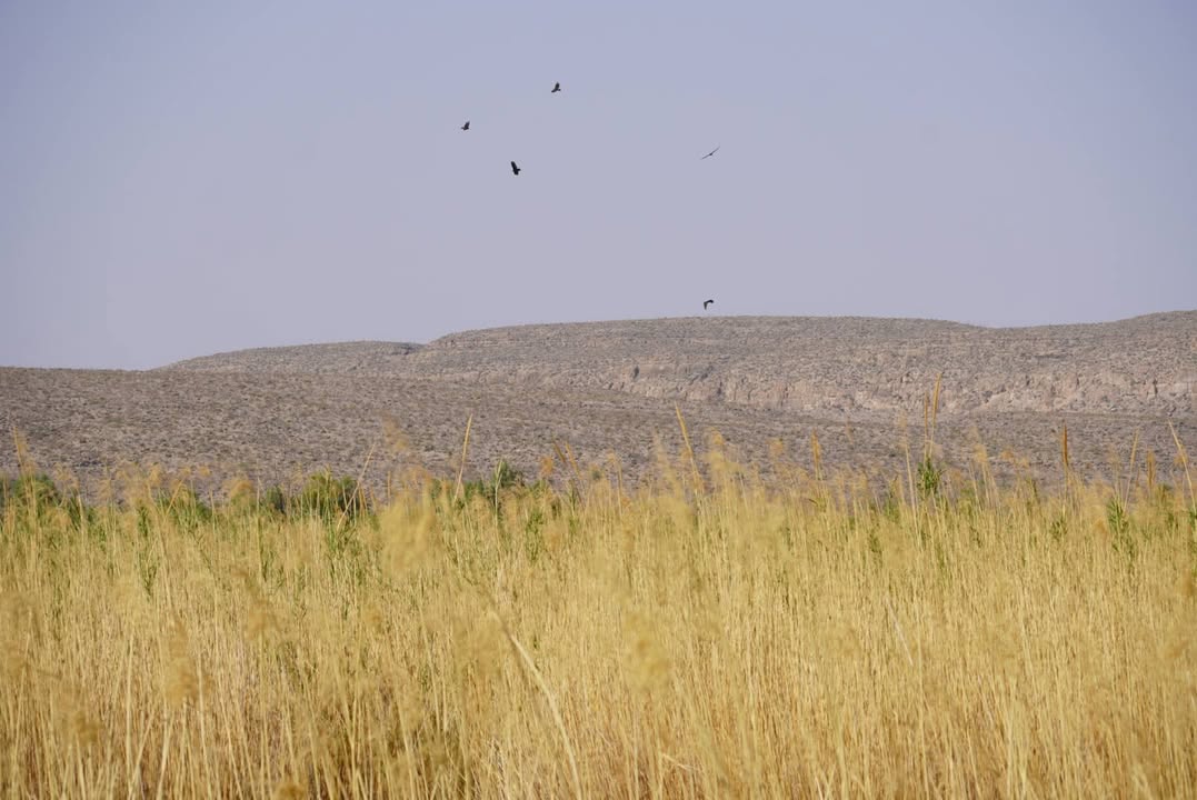 Rio Grande Village Nature Trail