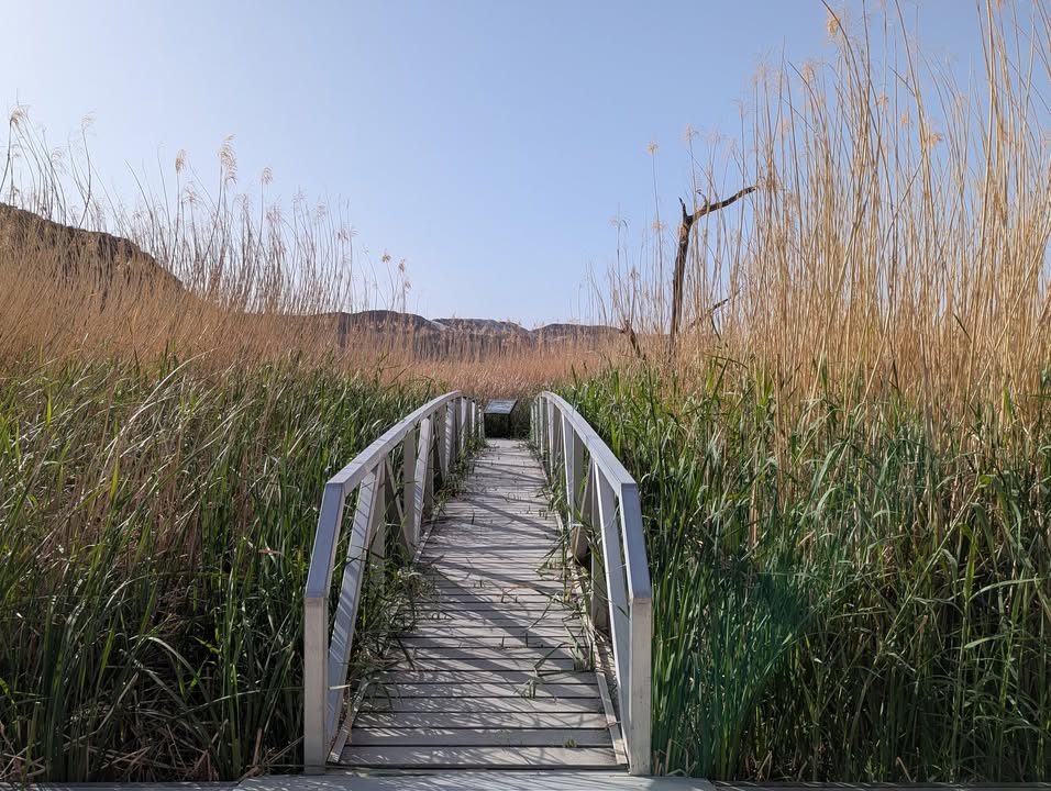Rio Grande Village Nature Trail