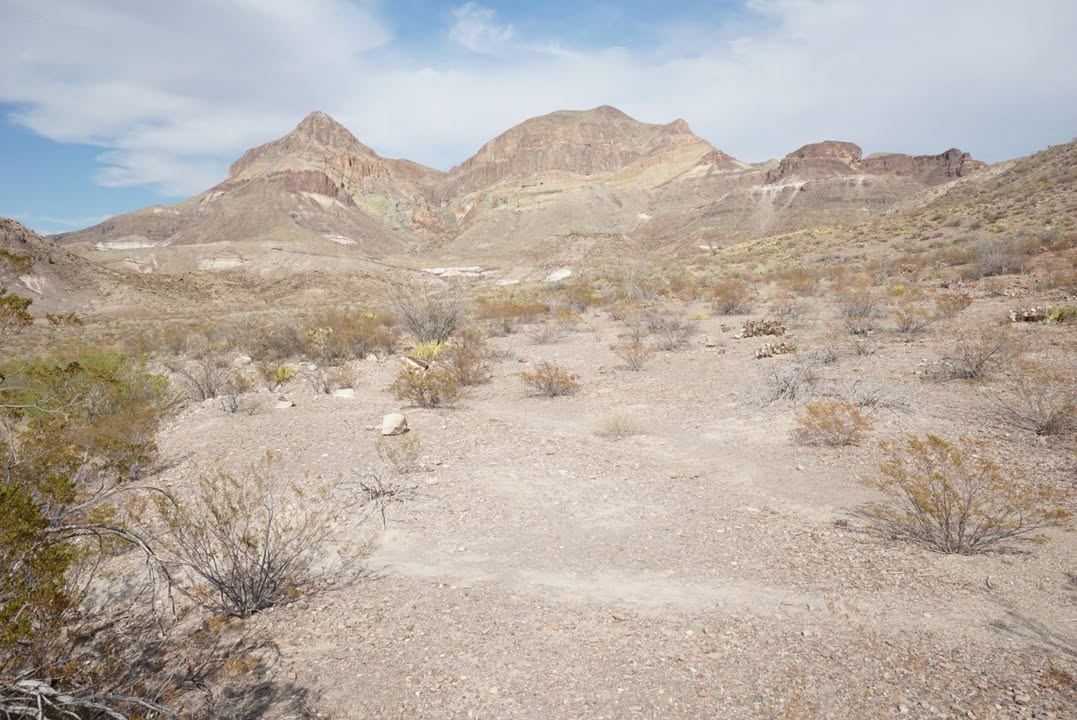 Big Bend National Park, TX