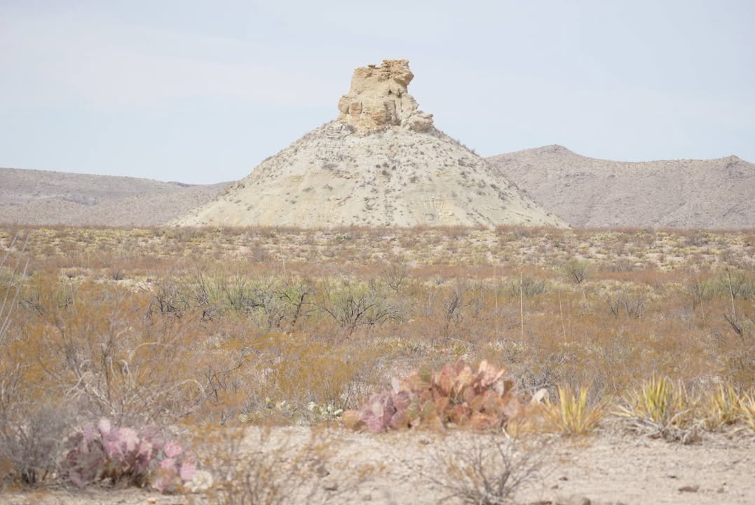 Ross Maxwell Scenic Drive