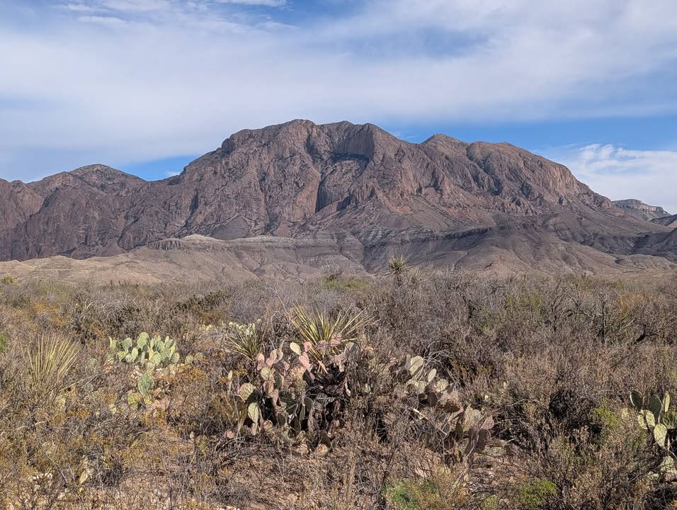 Ross Maxwell Scenic Drive