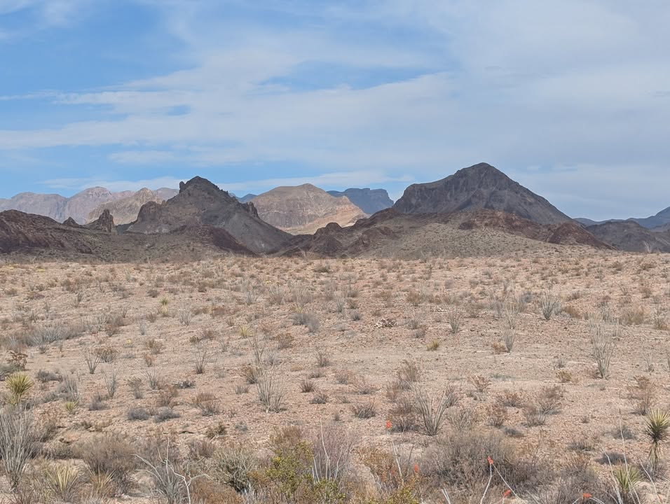 Ross Maxwell Scenic Drive