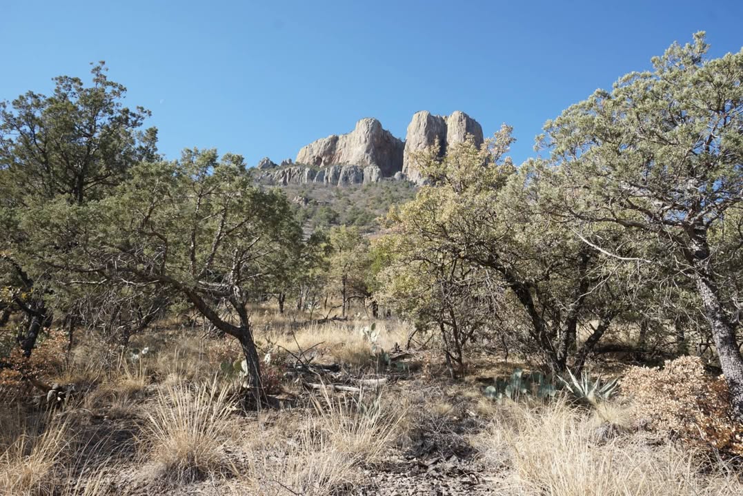 View from Parking Area near Lost Mine Trail