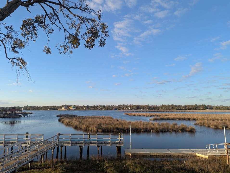 View from Bacchus on the Bayou