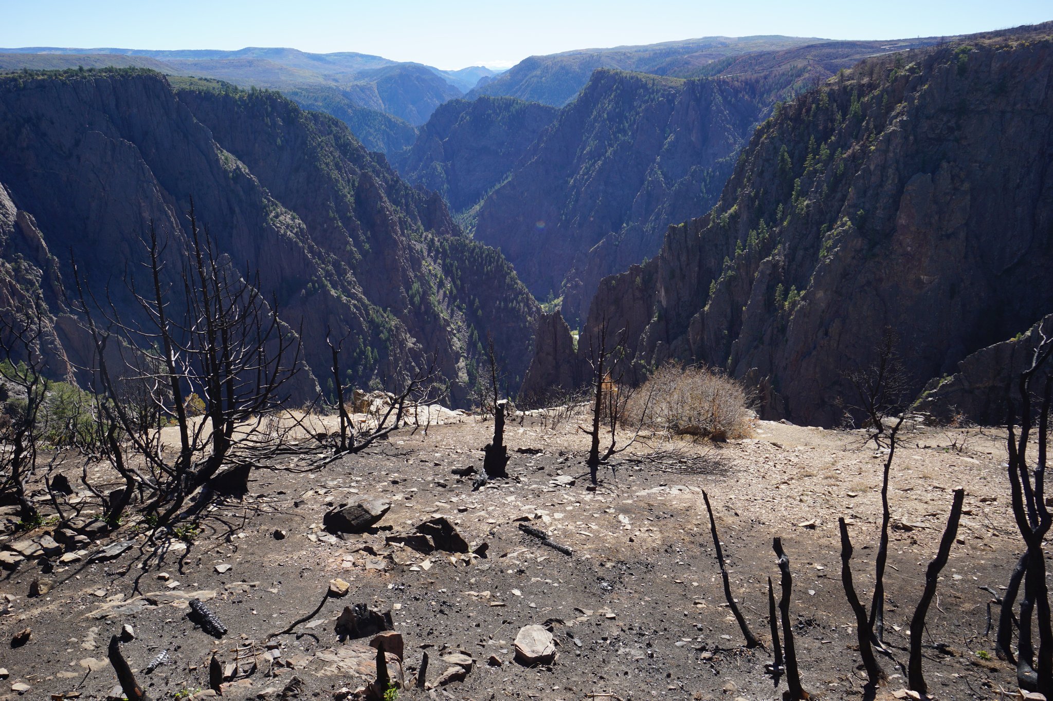 Black Canyon of the Gunnison Views