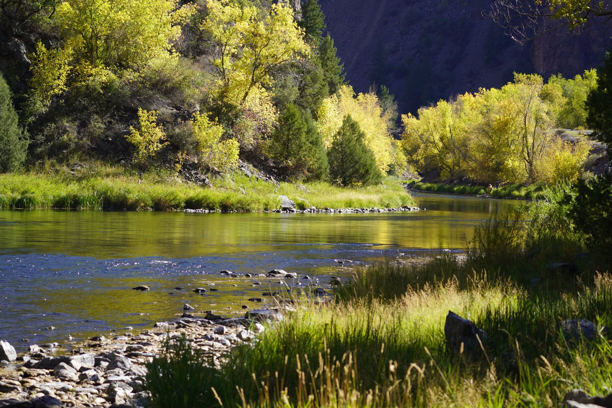 Gunnison River Primitive Trail