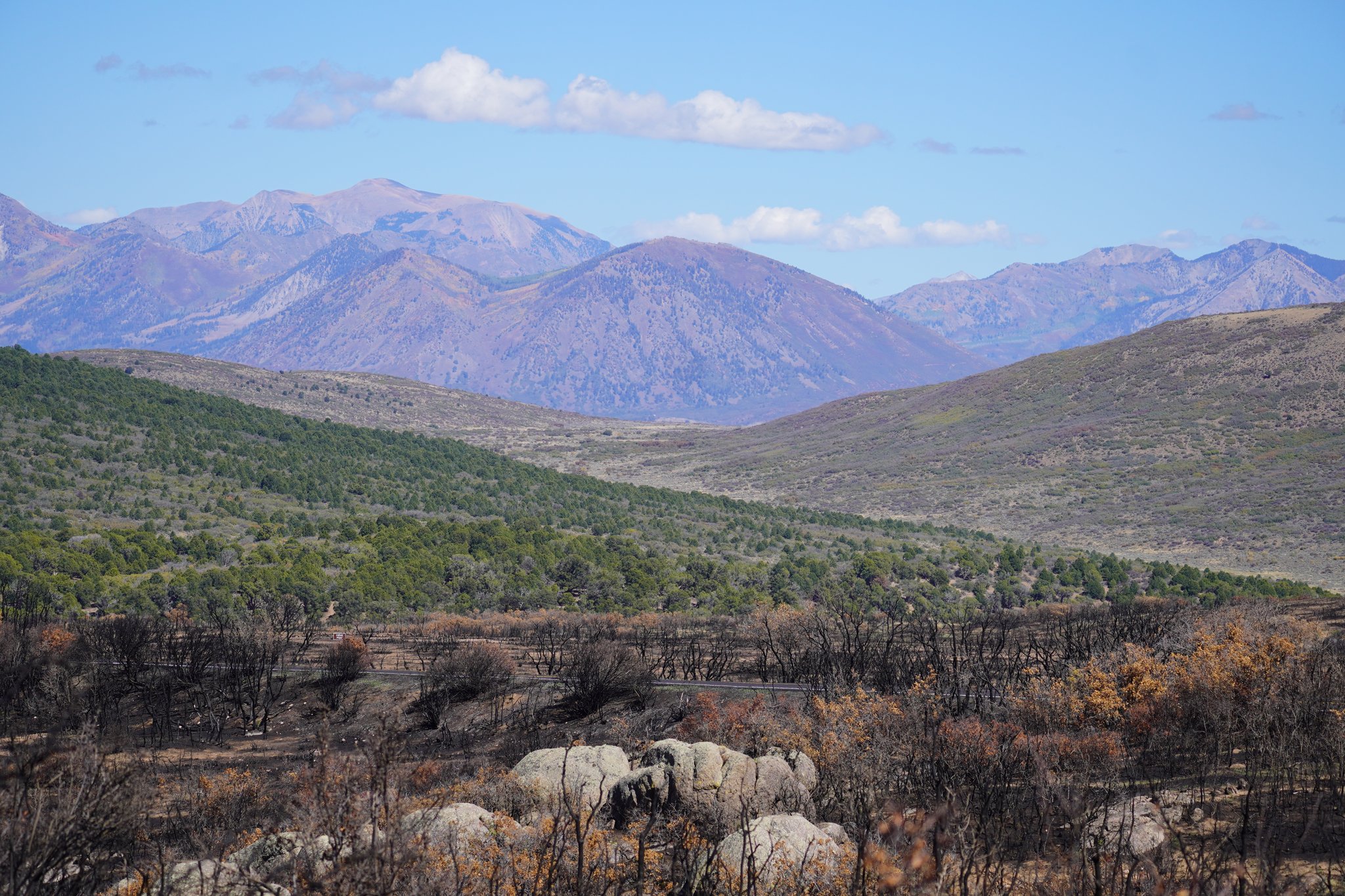 Views from South Rim Drive