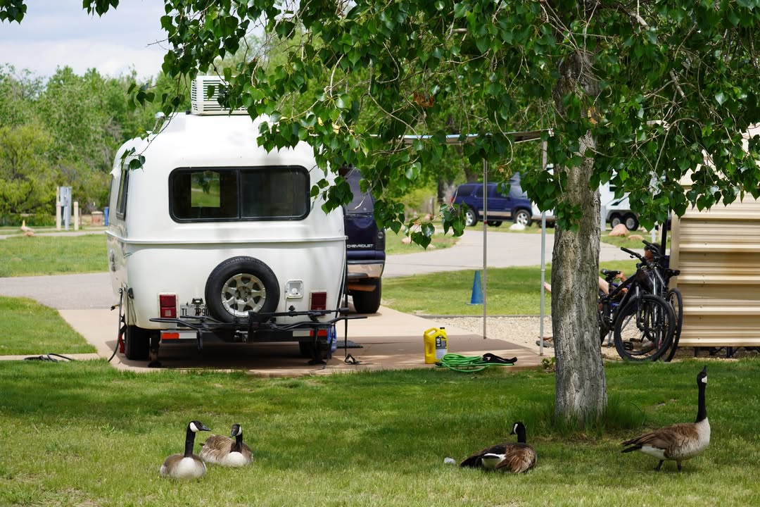 St Vrain Campsite