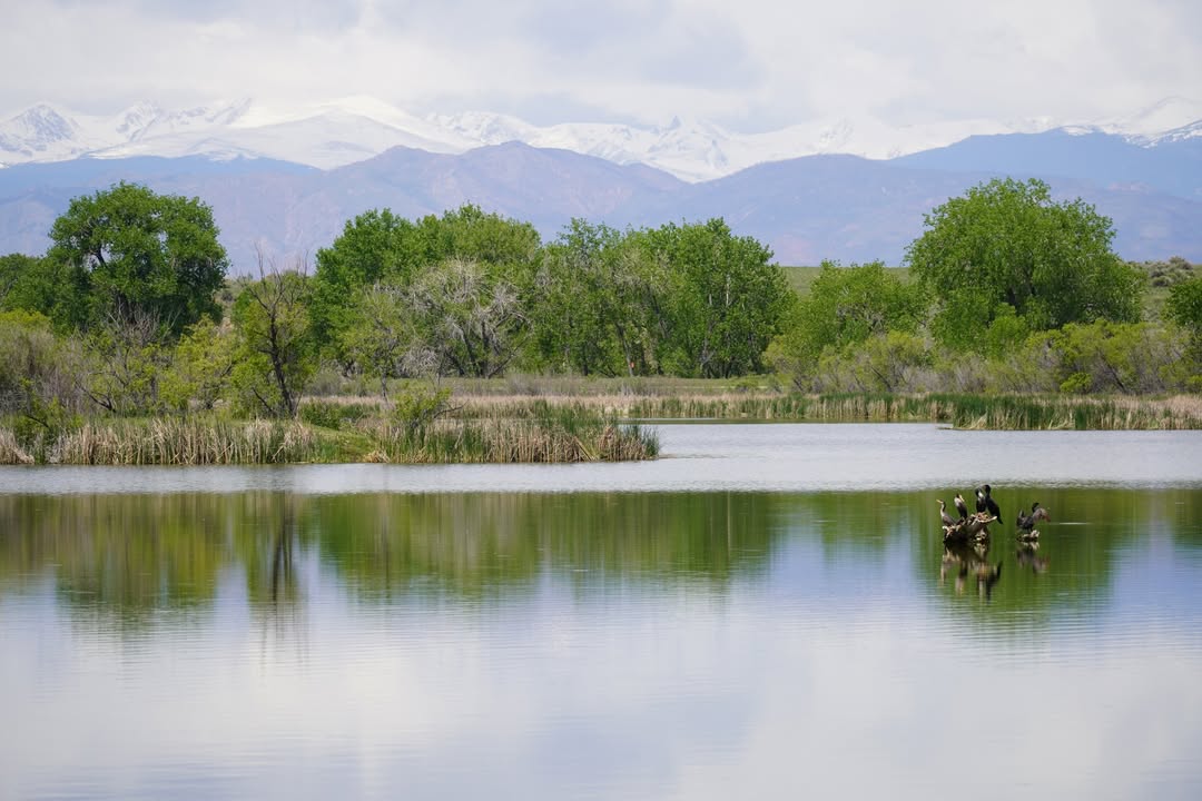 St Vrain State Park Lake