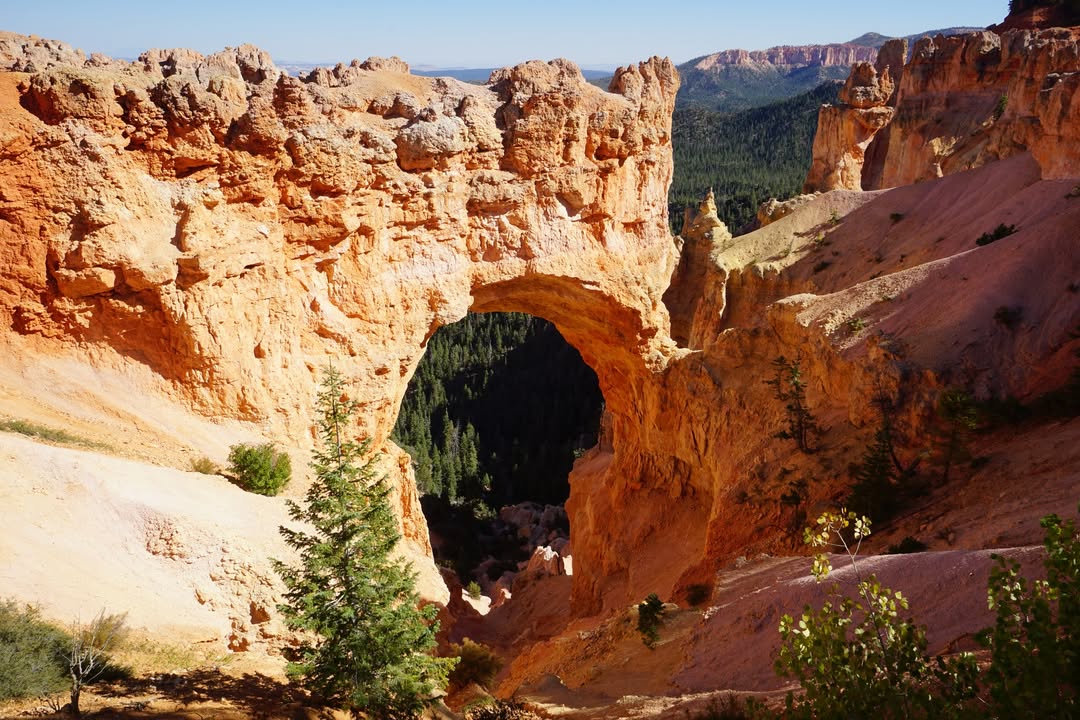 Natural Bridge Overlook
