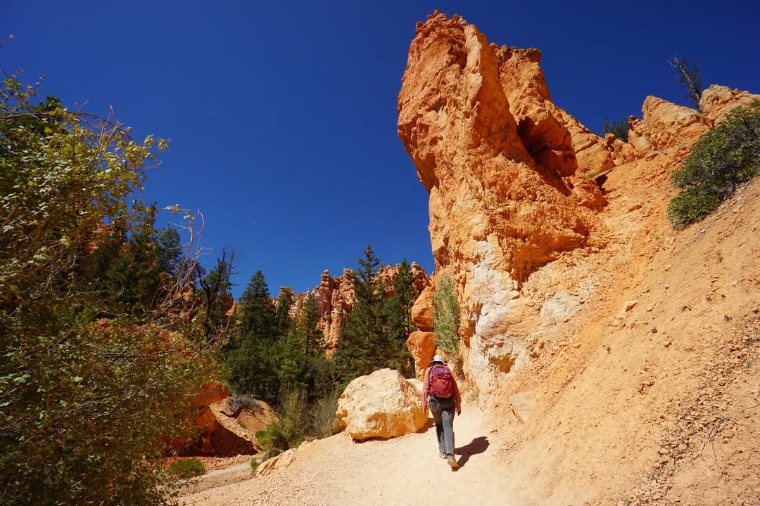 Navajo Loop Trail