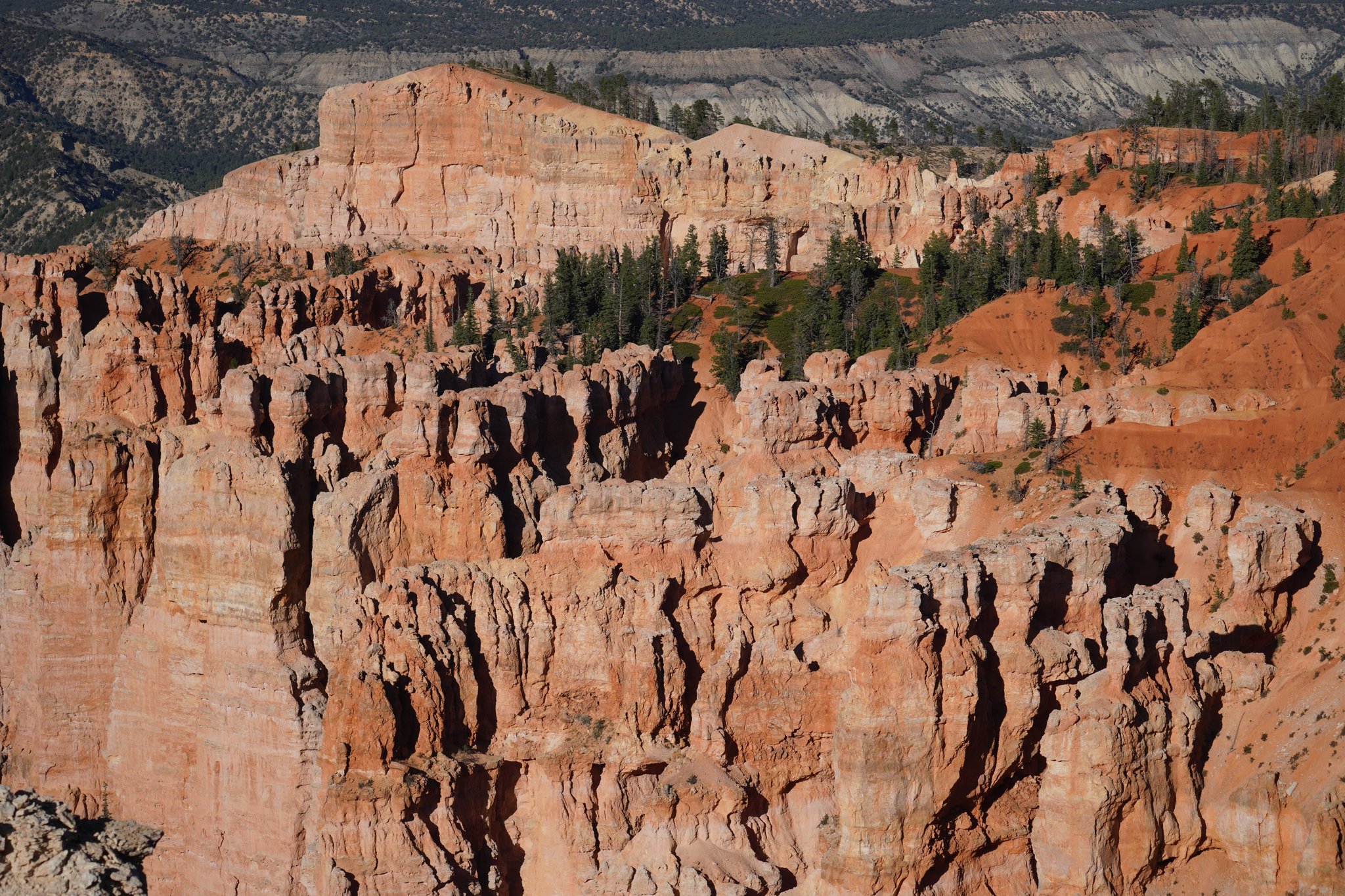 Rainbow Point Overlook