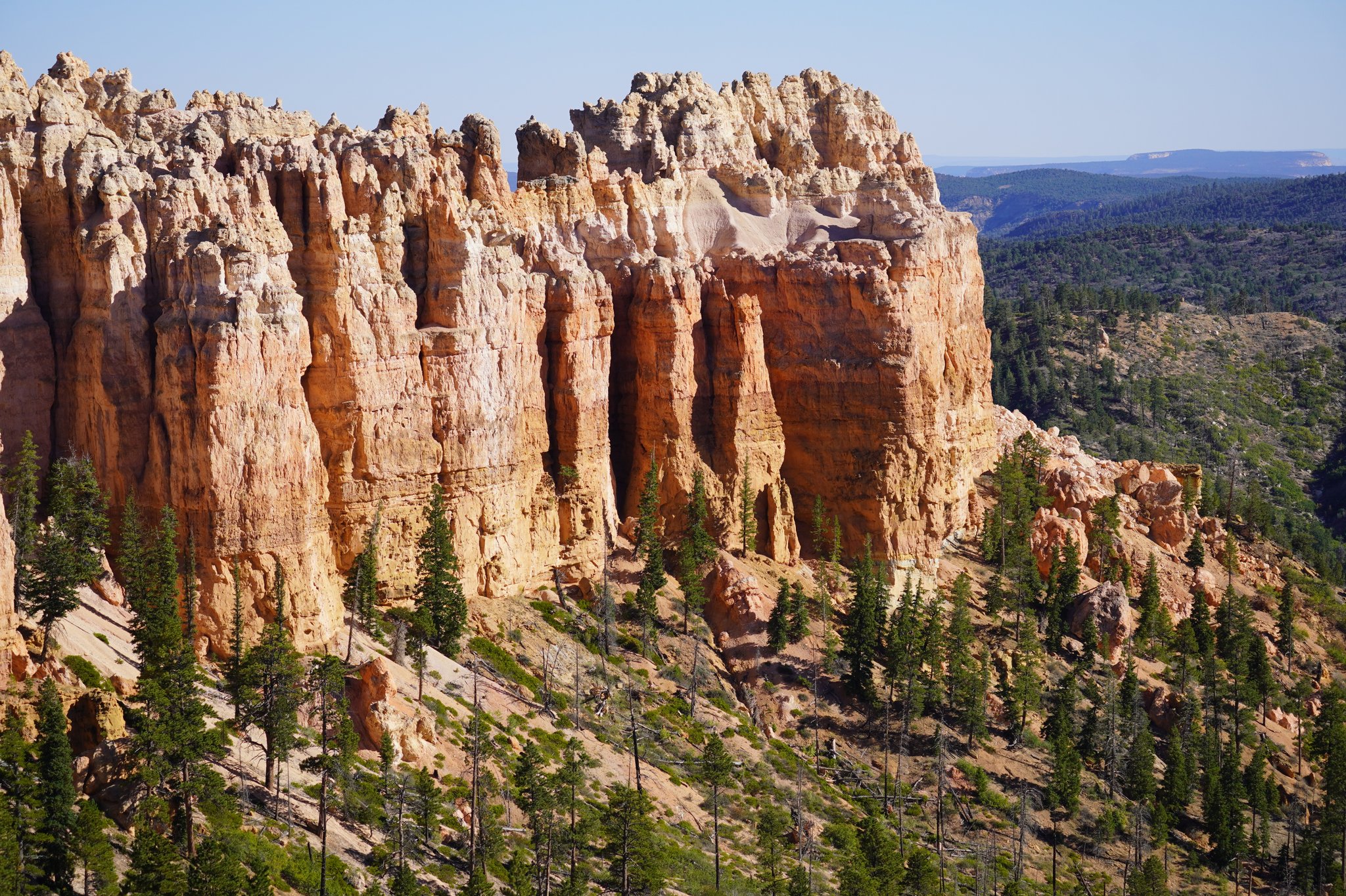 Swamp Canyon Overlook