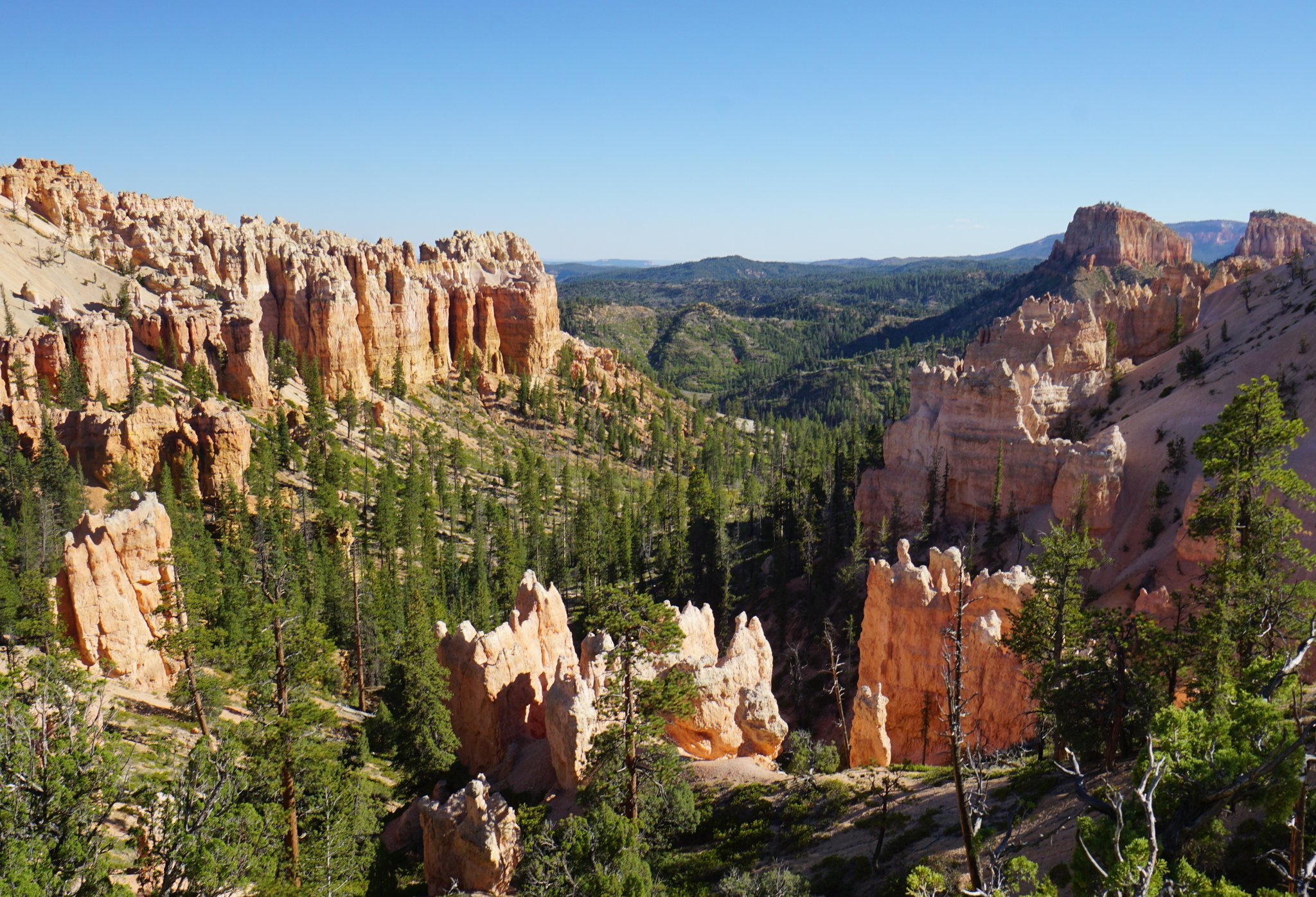 View at Swamp Canyon Loop Trailhead Parking