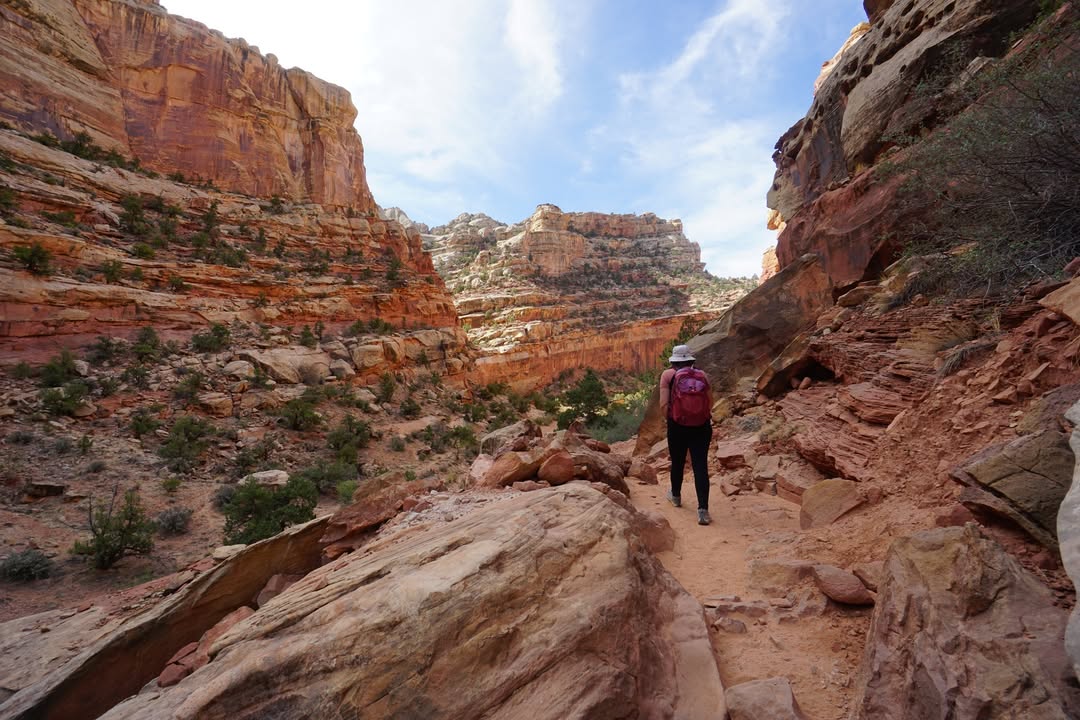 Cassidy Arch trail