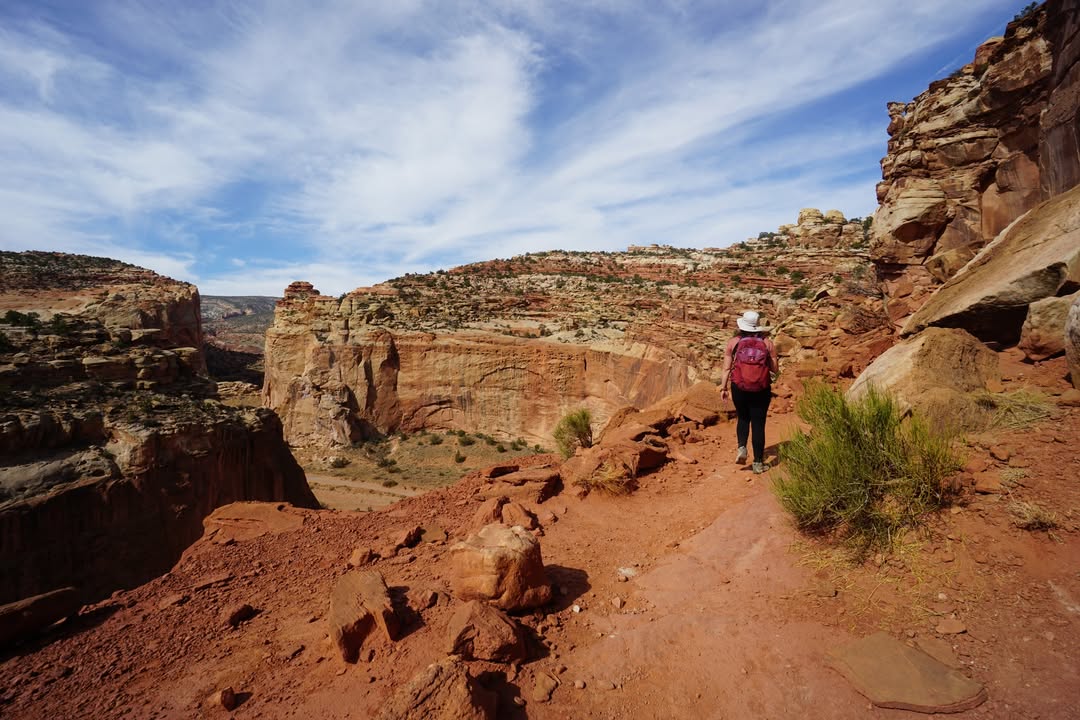 Cassidy Arch trail