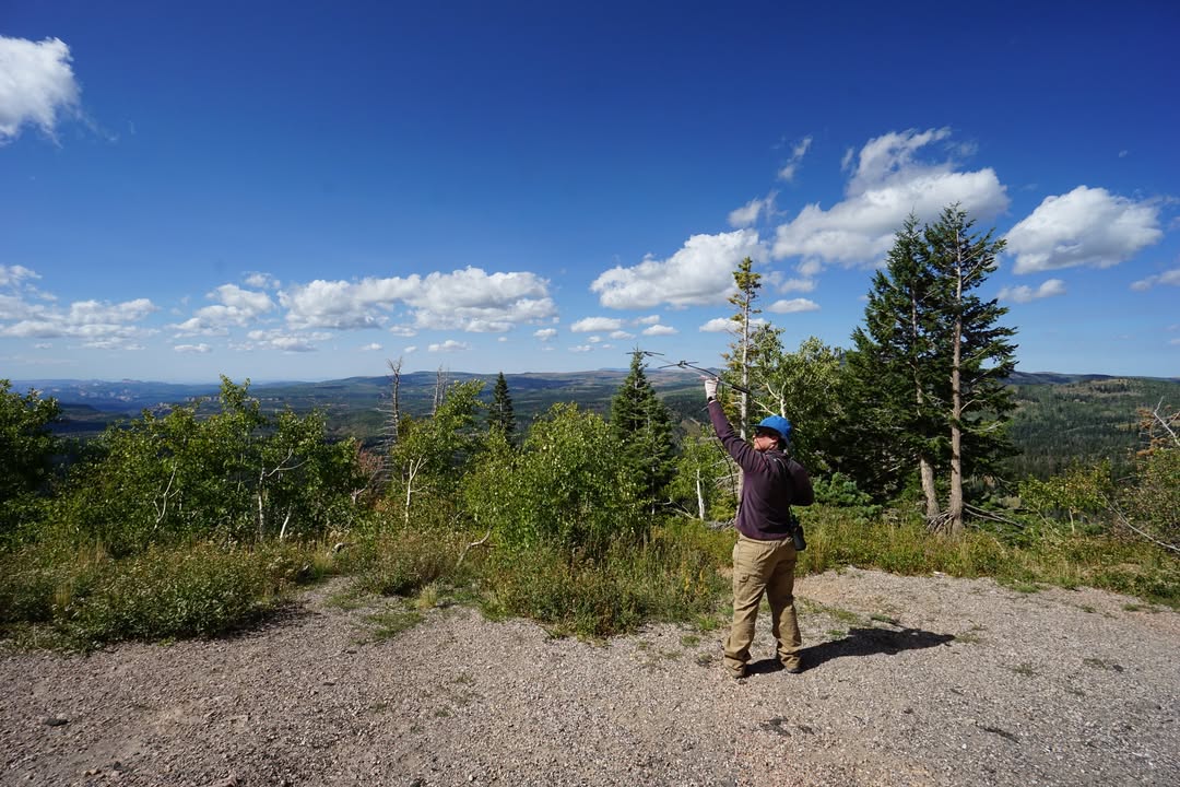 Tracking Condors along Hwy 148