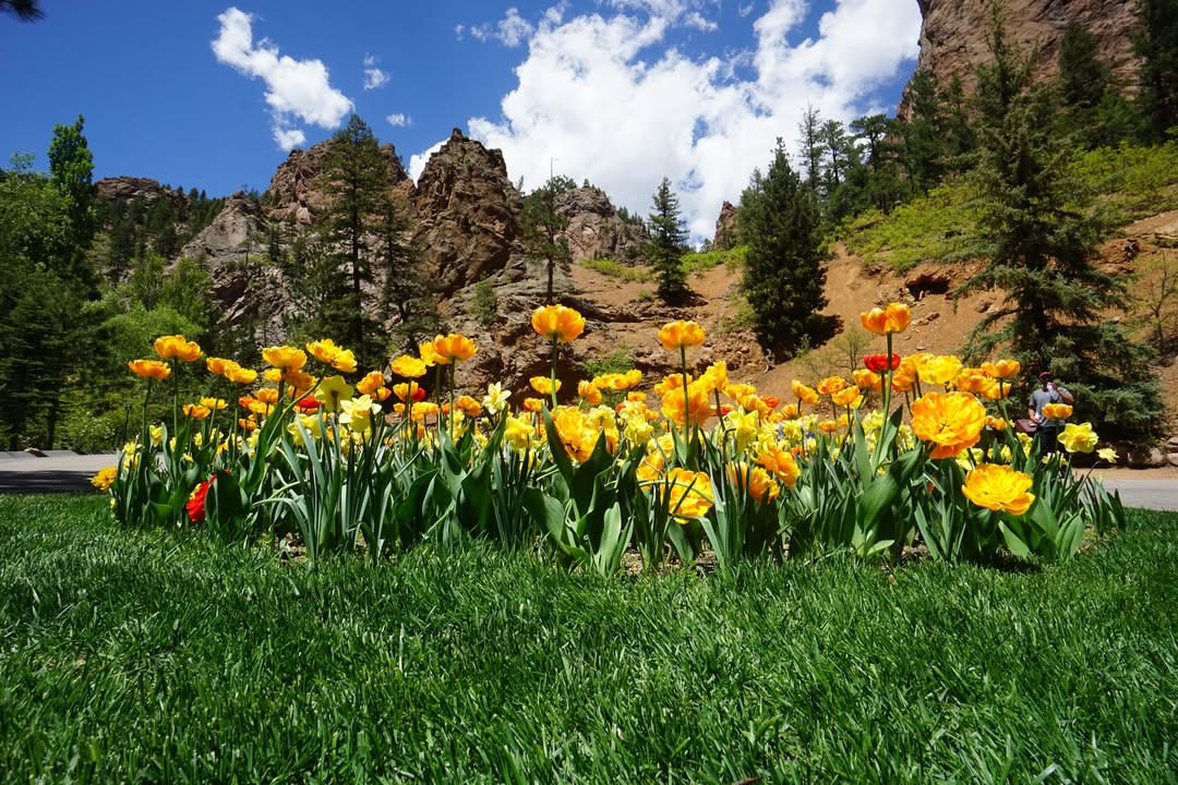 Colorado Springs, CO