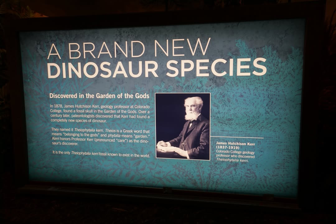 Colorado Springs, CO