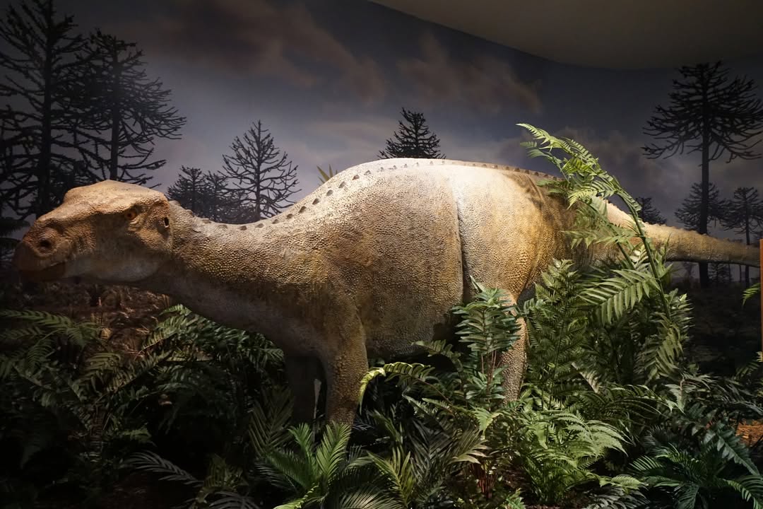 Colorado Springs, CO