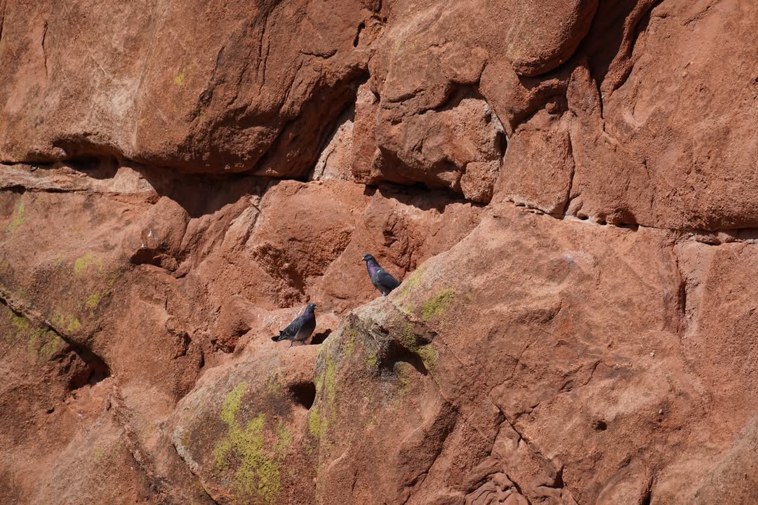 Colorado Springs, CO