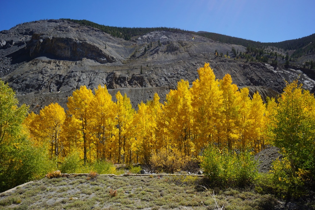 Colorado Springs, CO