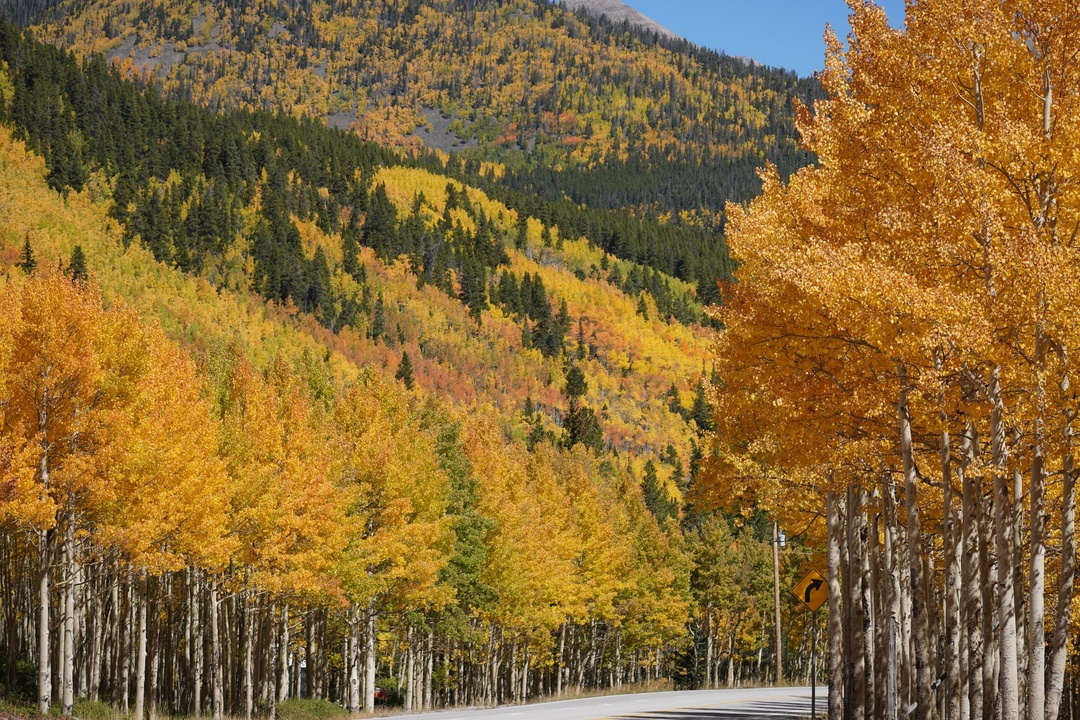 Fall Colors on Highway 50