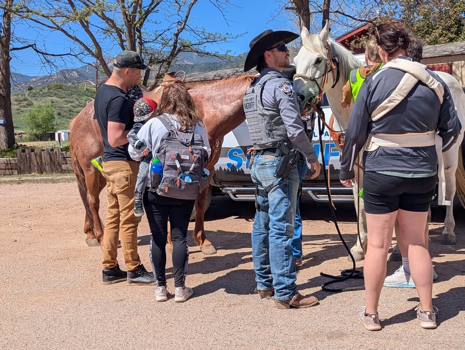 Horses at Touch a Truck Event