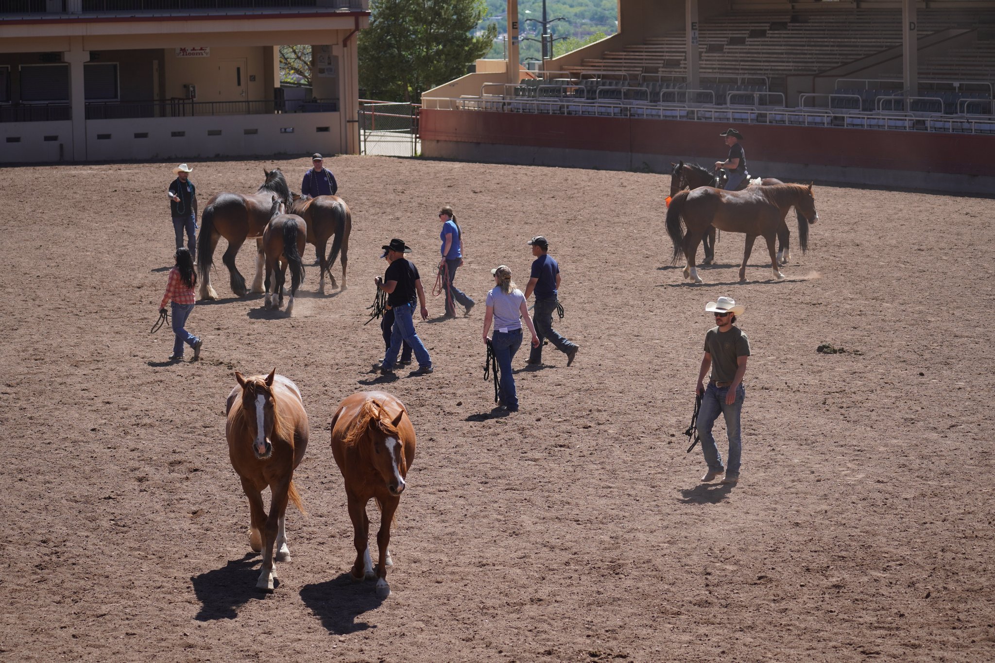 Norris Penrose arena