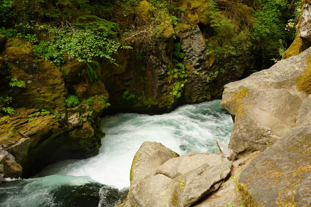On Trail to Toketee Falls