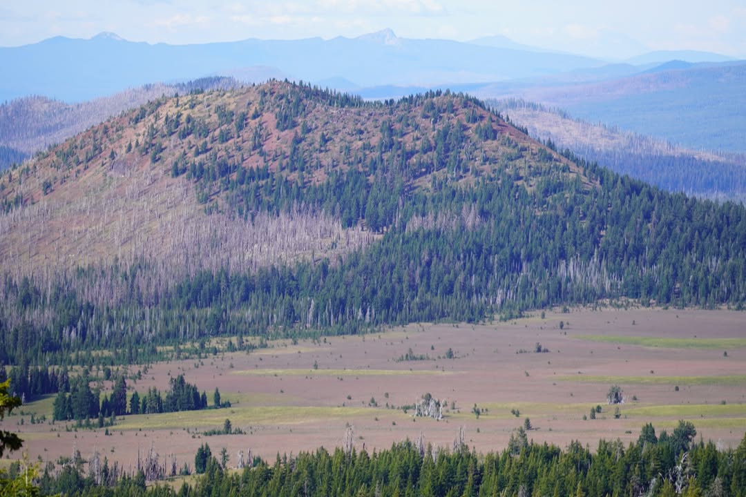 View opposite of Lake