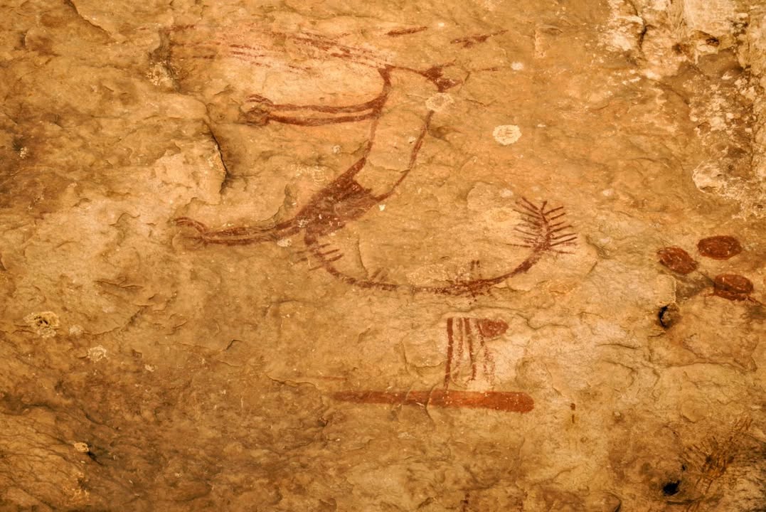 Rock Art at Fate Bell Shelter
