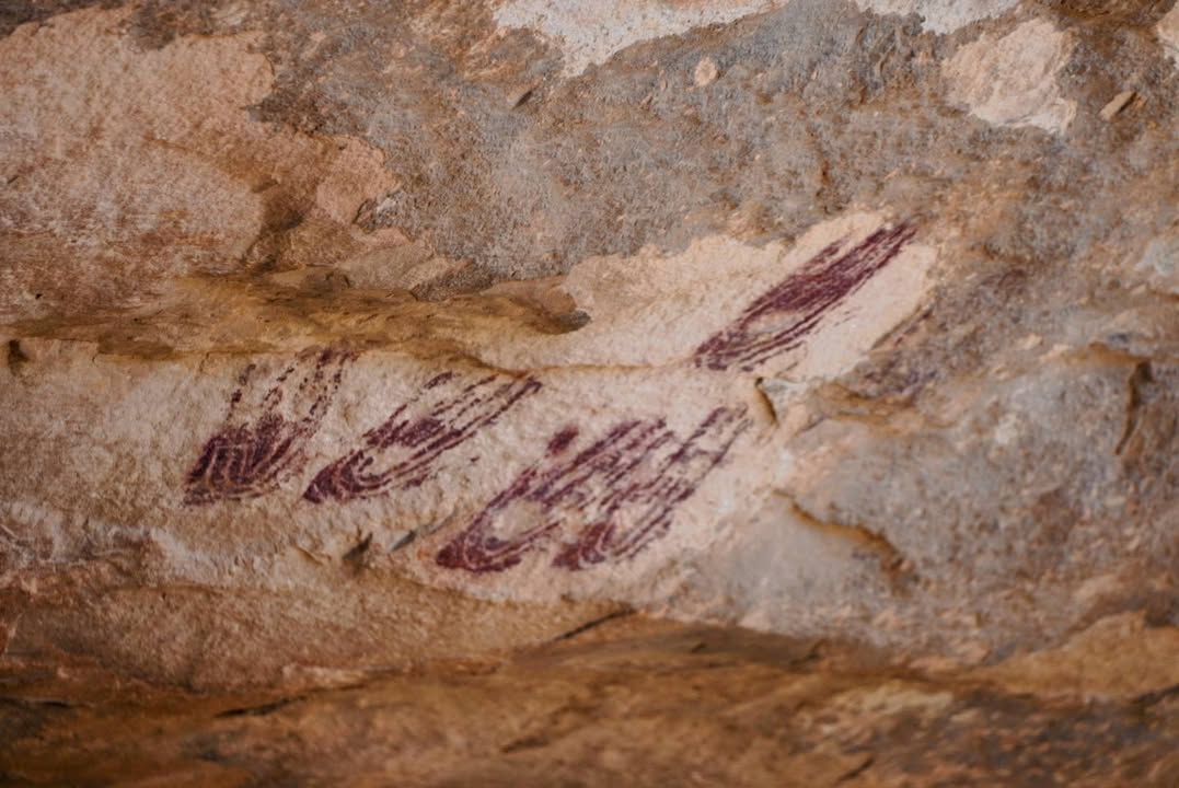 Rock art at Fate Bell Shelter