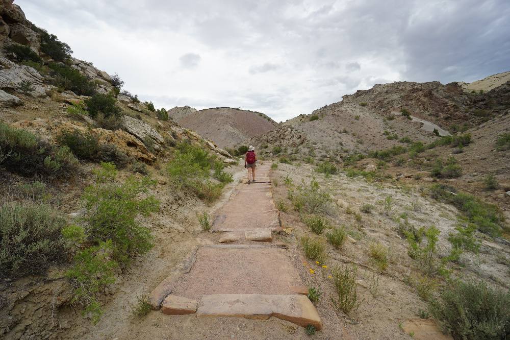 Dinosaur National Monument, UT
