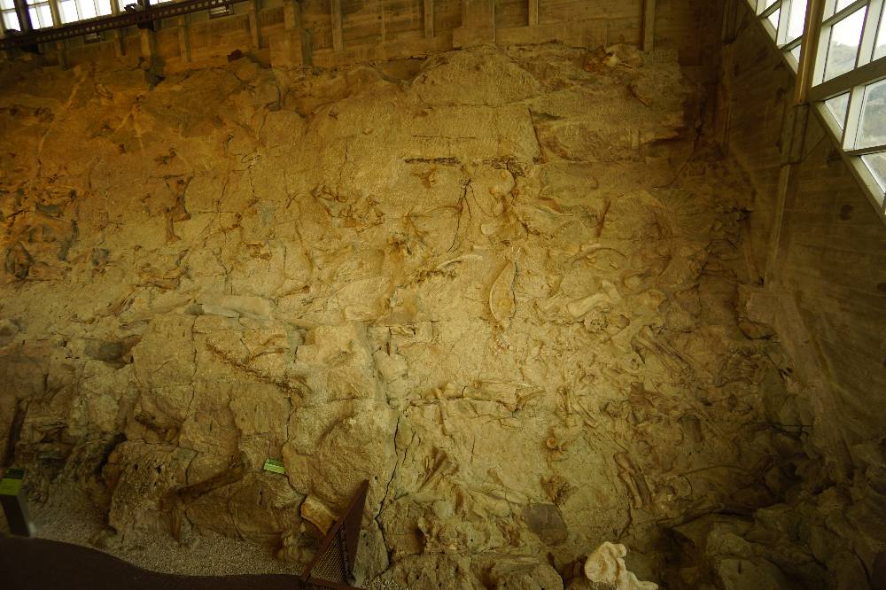 Dinosaur National Monument, UT