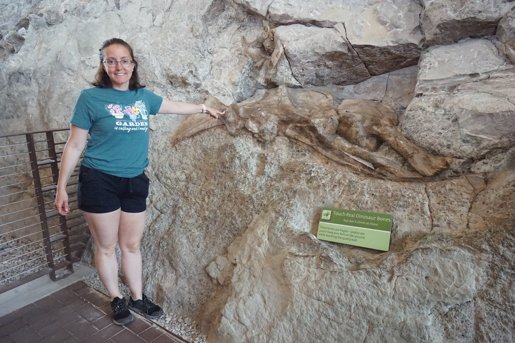 Dinosaur Bones in Quarry Exhibit Hall