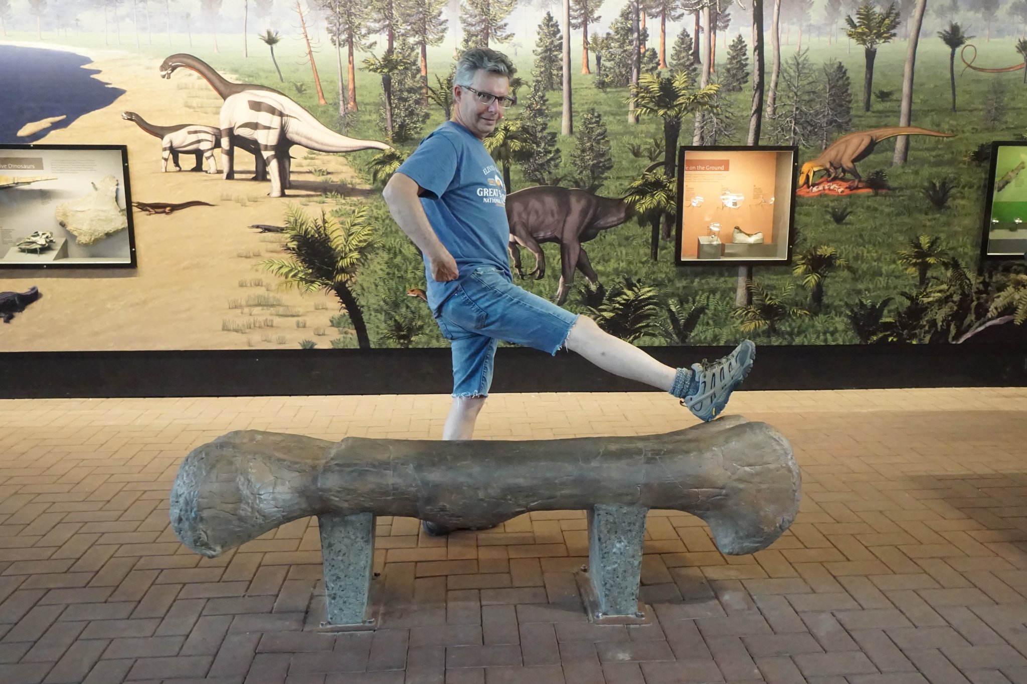 Femur Comparison at Quarry Exhibit