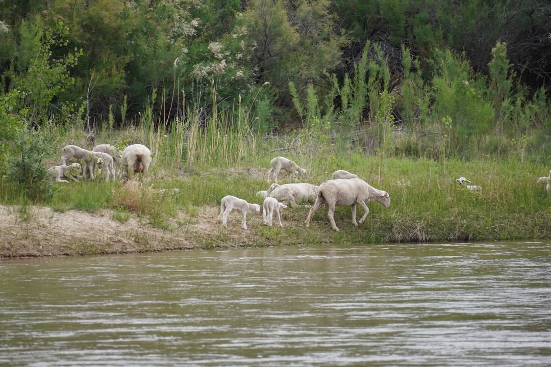 Dinosaur National Monument, UT