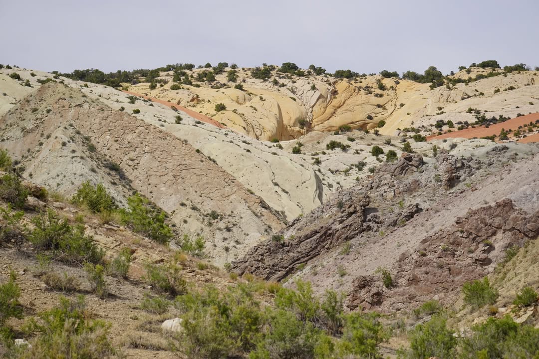 Views at Dinosaur National Monument