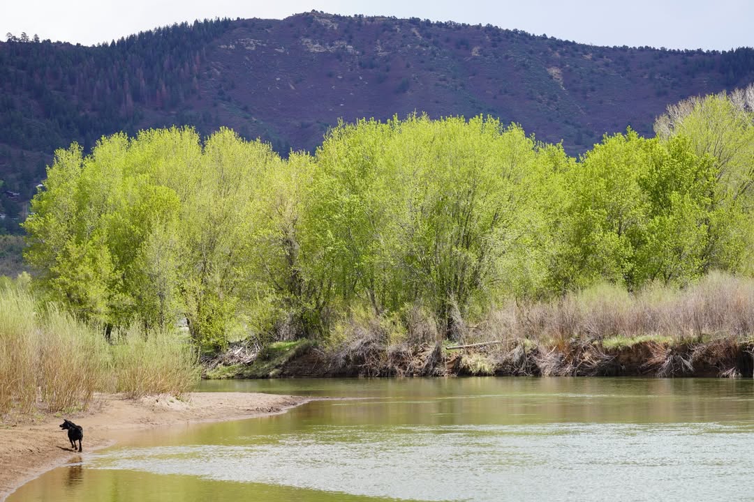 Animas River Trail